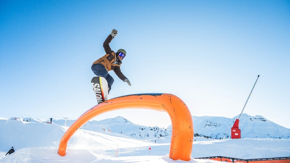 Hollanda Highly Skilled Migrant Programı: Başvuru Koşulları